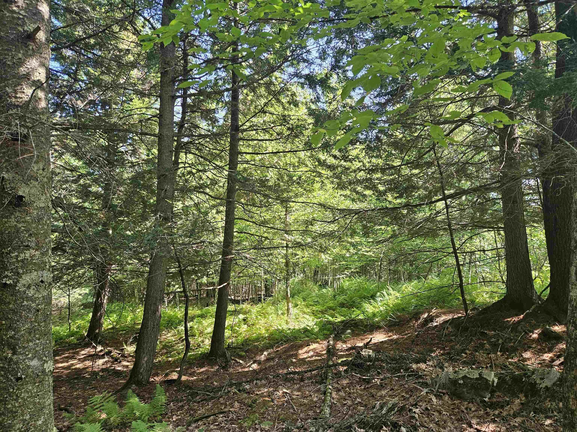 Lot 3.3 Off Parker Road Lisbon NH 03585