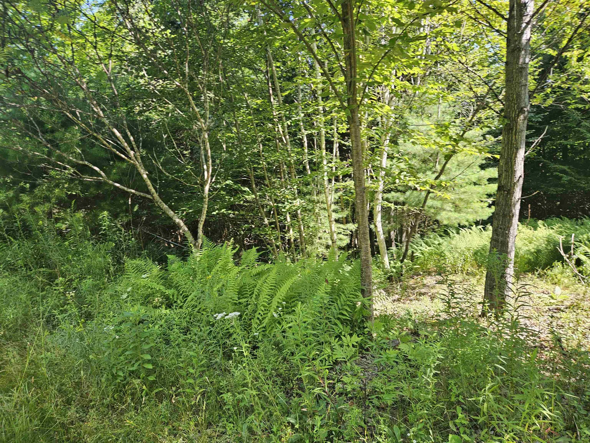 Lot 3.3 Off Parker Road Lisbon NH 03585