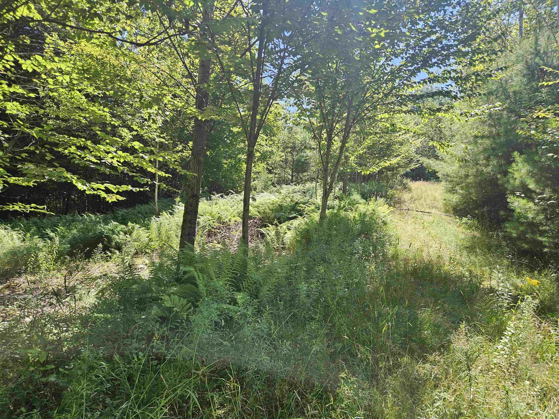 Lot 3.3 Off Parker Road Lisbon NH 03585
