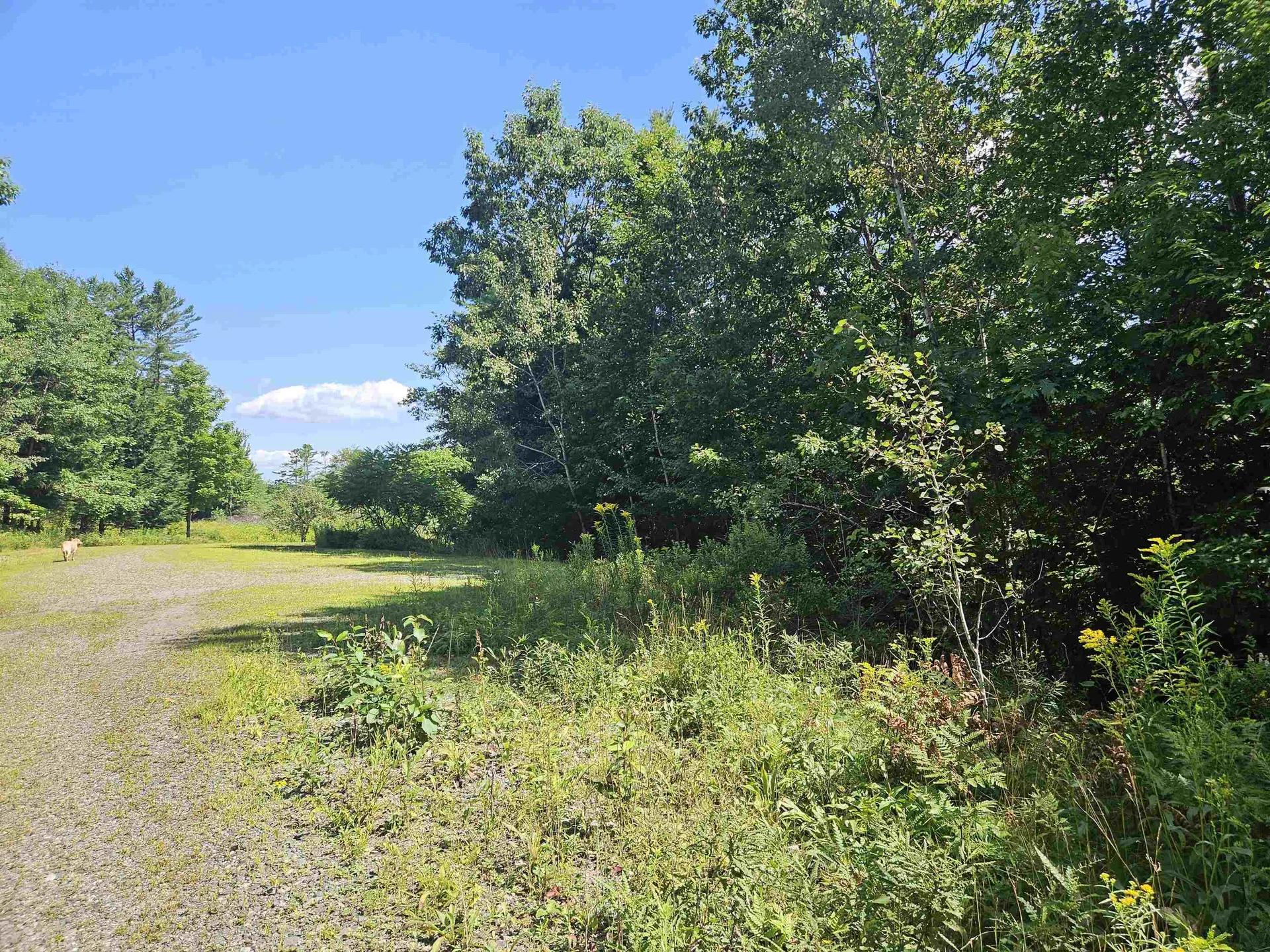 Lot 3.3 Off Parker Road Lisbon NH 03585