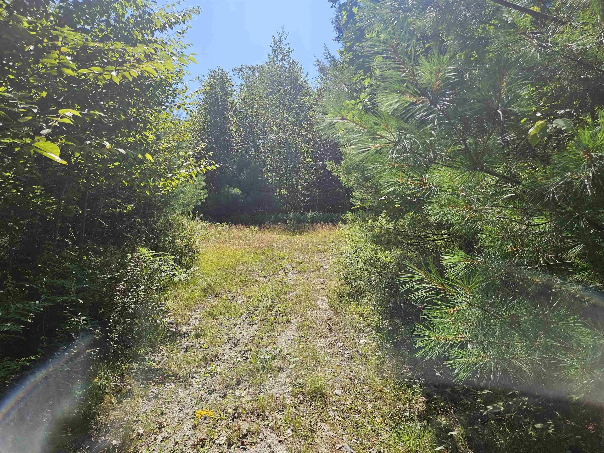 Lot 3.3 Off Parker Road Lisbon NH 03585