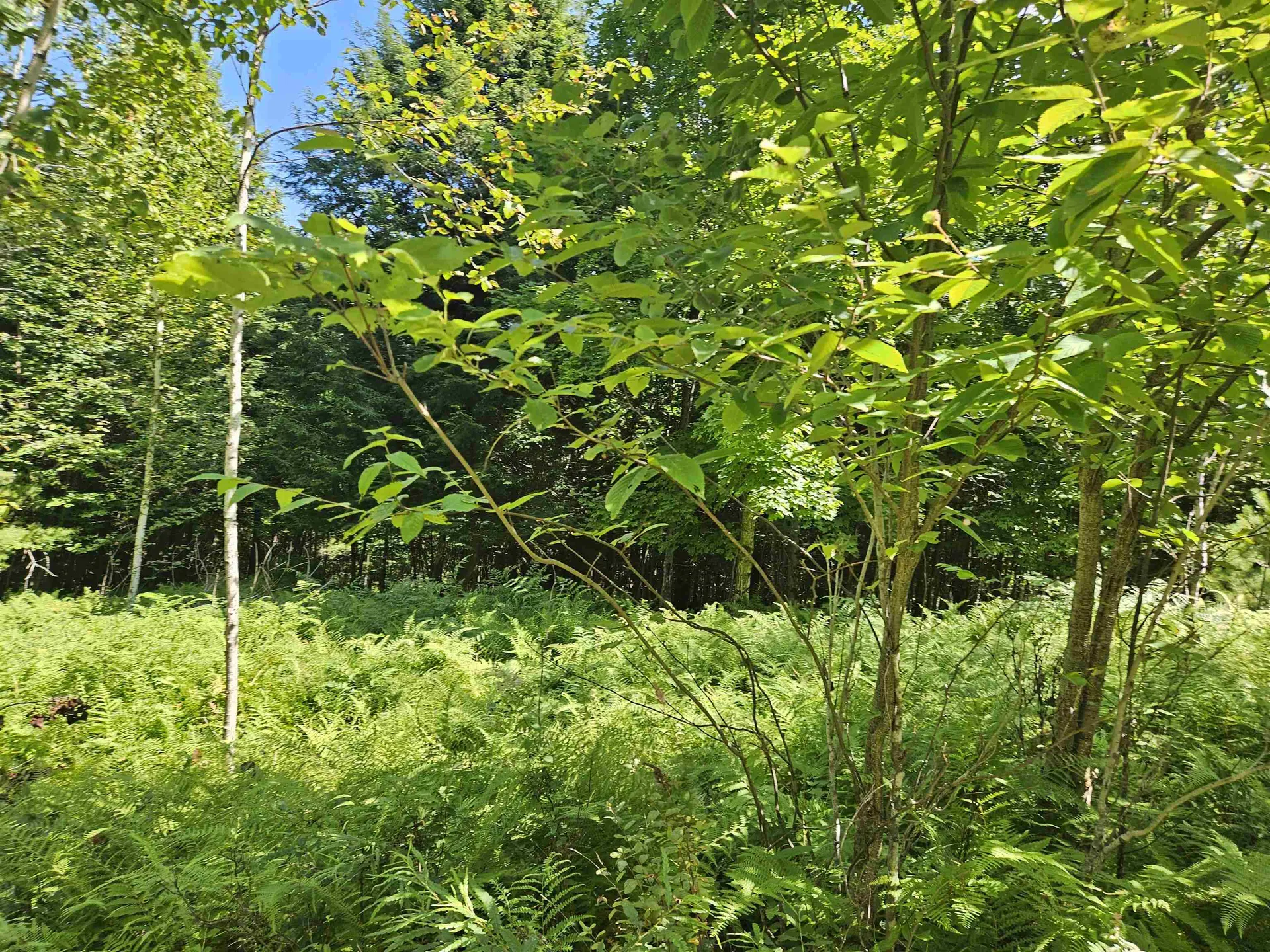 Lot 3.3 Off Parker Road Lisbon NH 03585