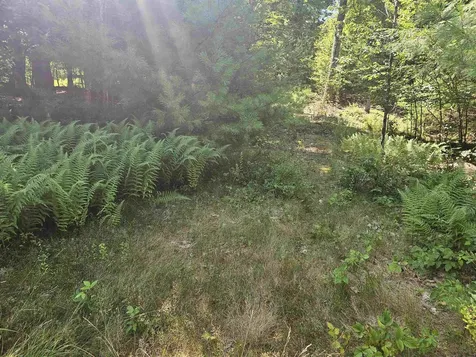 Lot 3.3 Off Parker Road Lisbon NH 03585