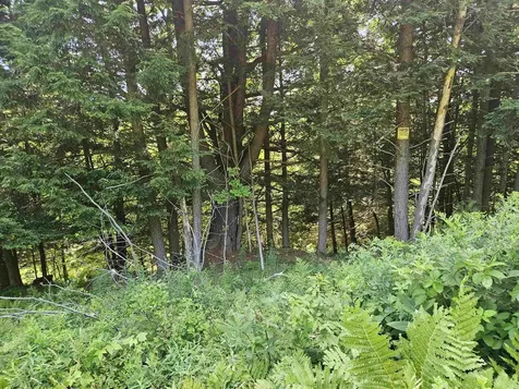Lot 3.3 Off Parker Road Lisbon NH 03585