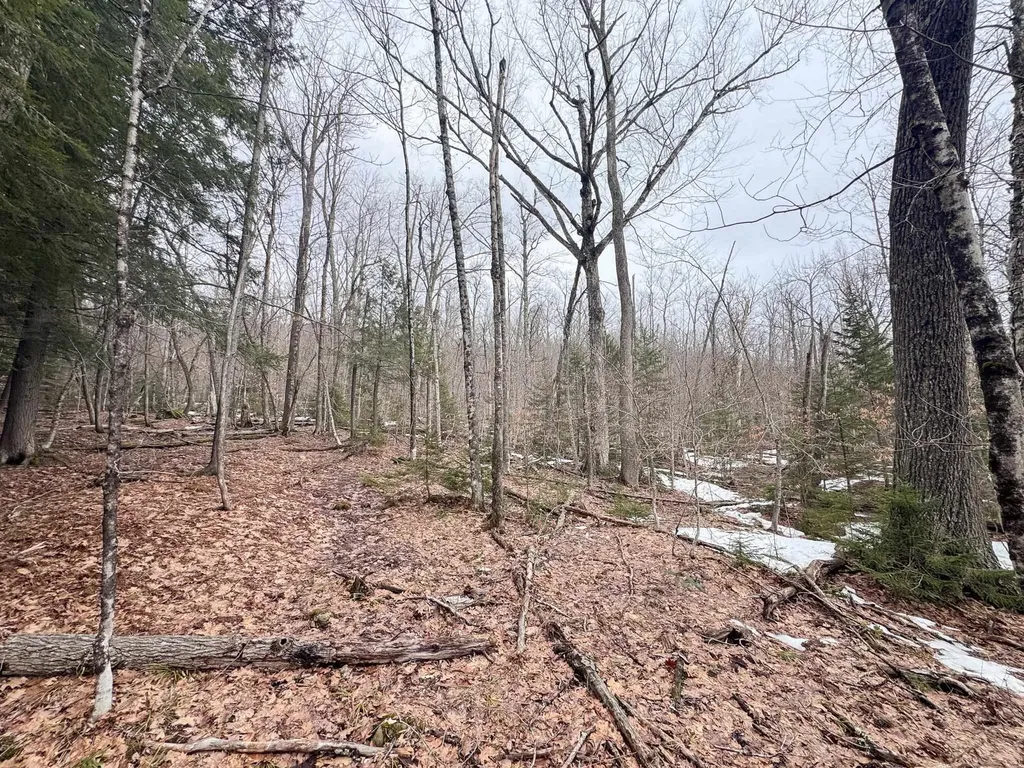 400 Marine Hill Rochester VT 05767