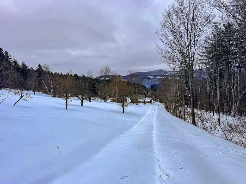 400 Marine Hill Rochester VT 05767