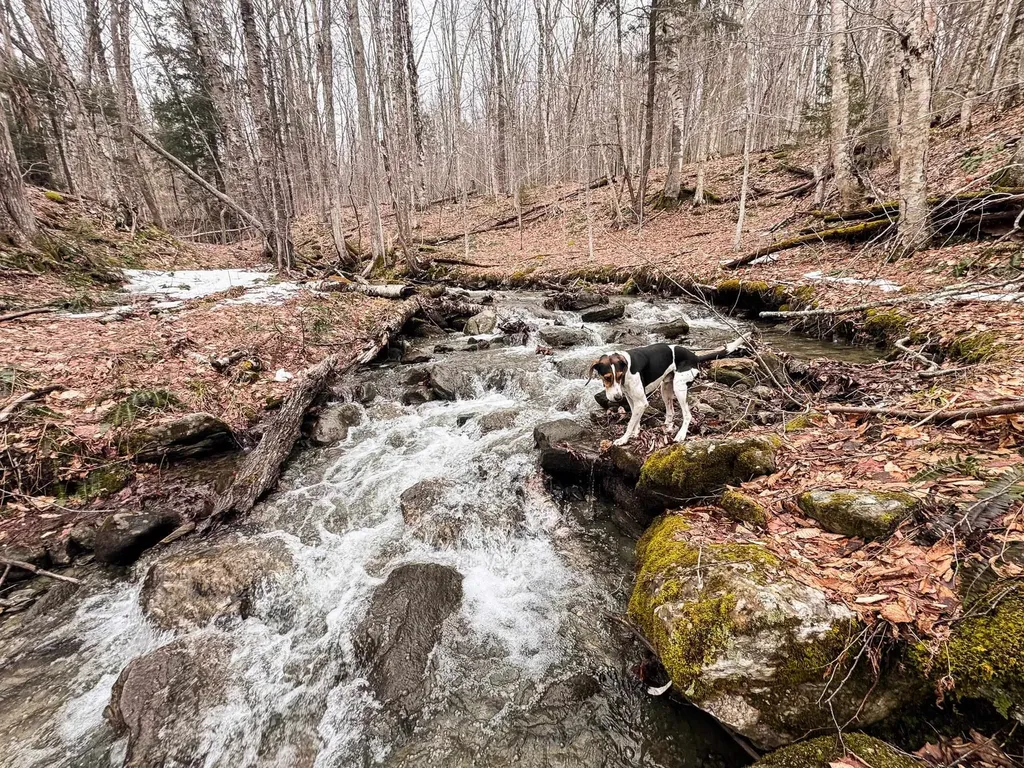 400 Marine Hill Rochester VT 05767