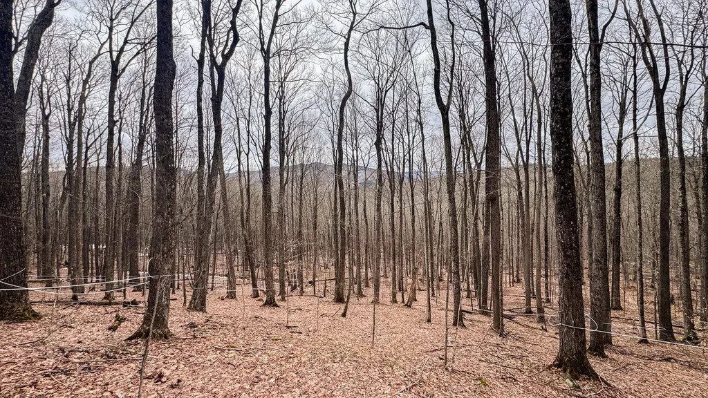 400 Marine Hill Rochester VT 05767