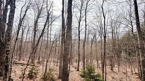 400 Marine Hill Rochester VT 05767