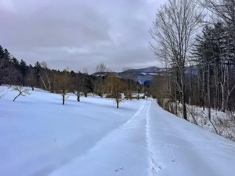 400 Marine Hill Rochester VT 05767