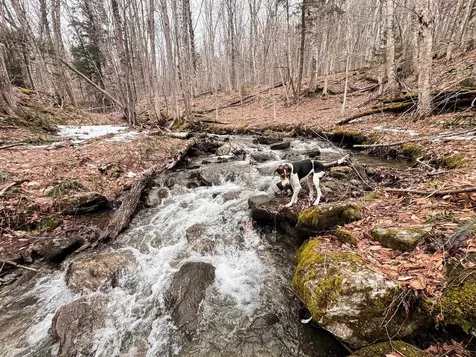 400 Marine Hill Rochester VT 05767