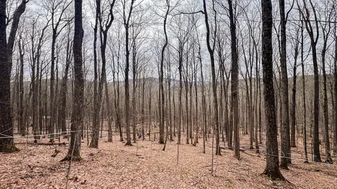 400 Marine Hill Rochester VT 05767