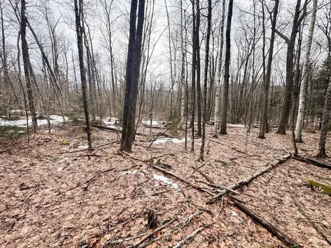 400 Marine Hill Rochester VT 05767