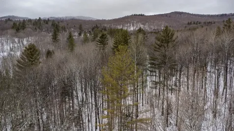 400 Marine Hill Rochester VT 05767