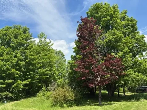 357 Parker Road Carroll NH 03595