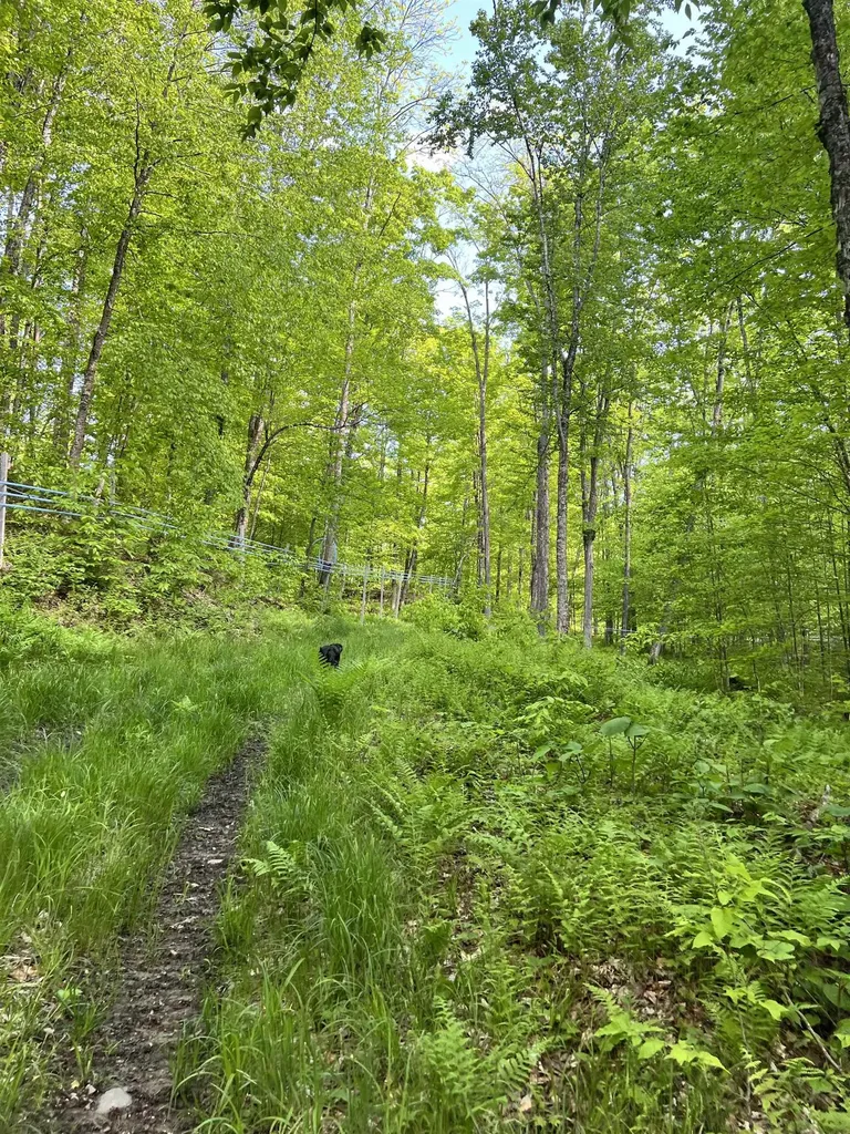 00 Town Hill Road Wolcott VT 05860