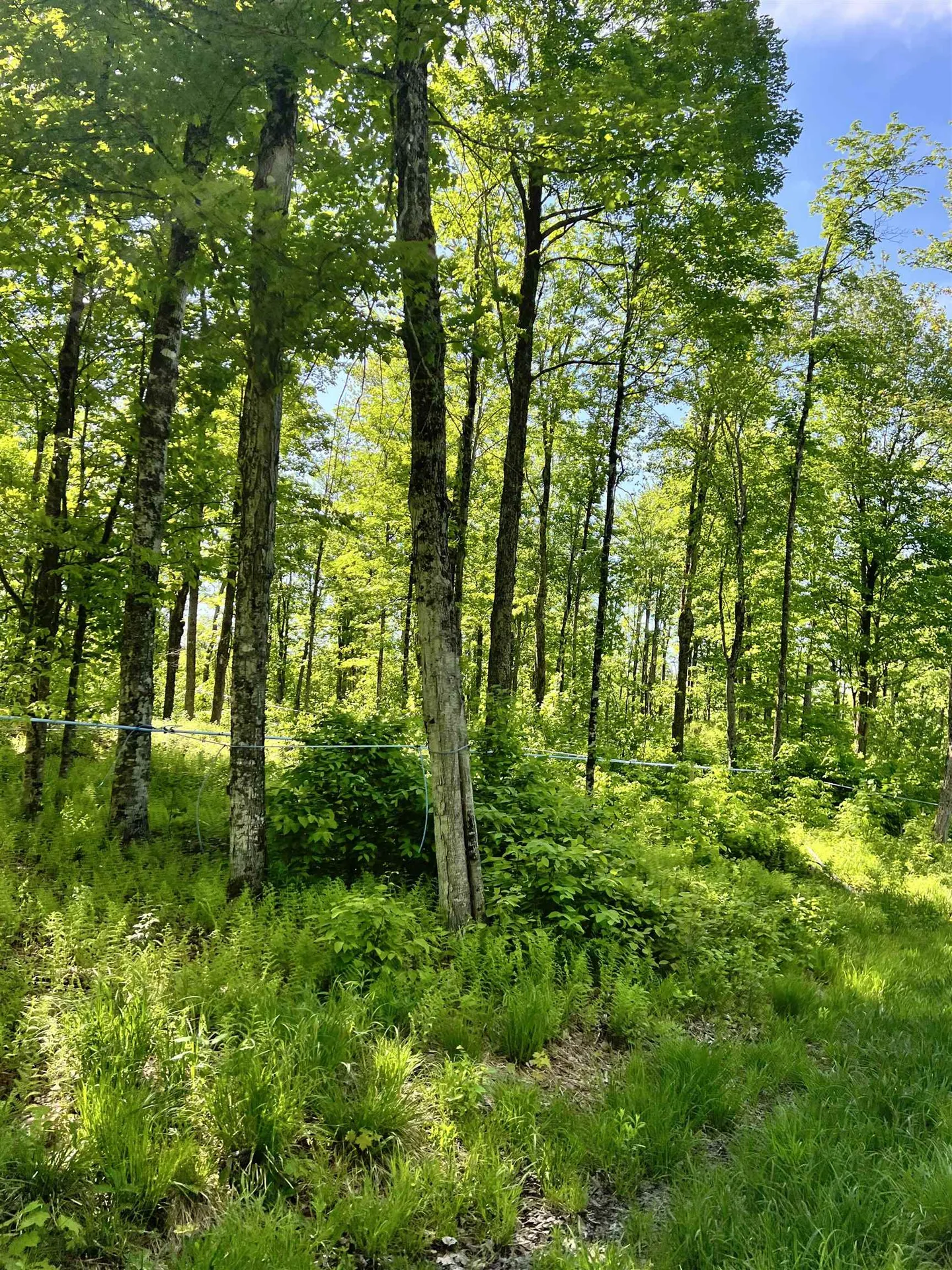 00 Town Hill Road Wolcott VT 05860