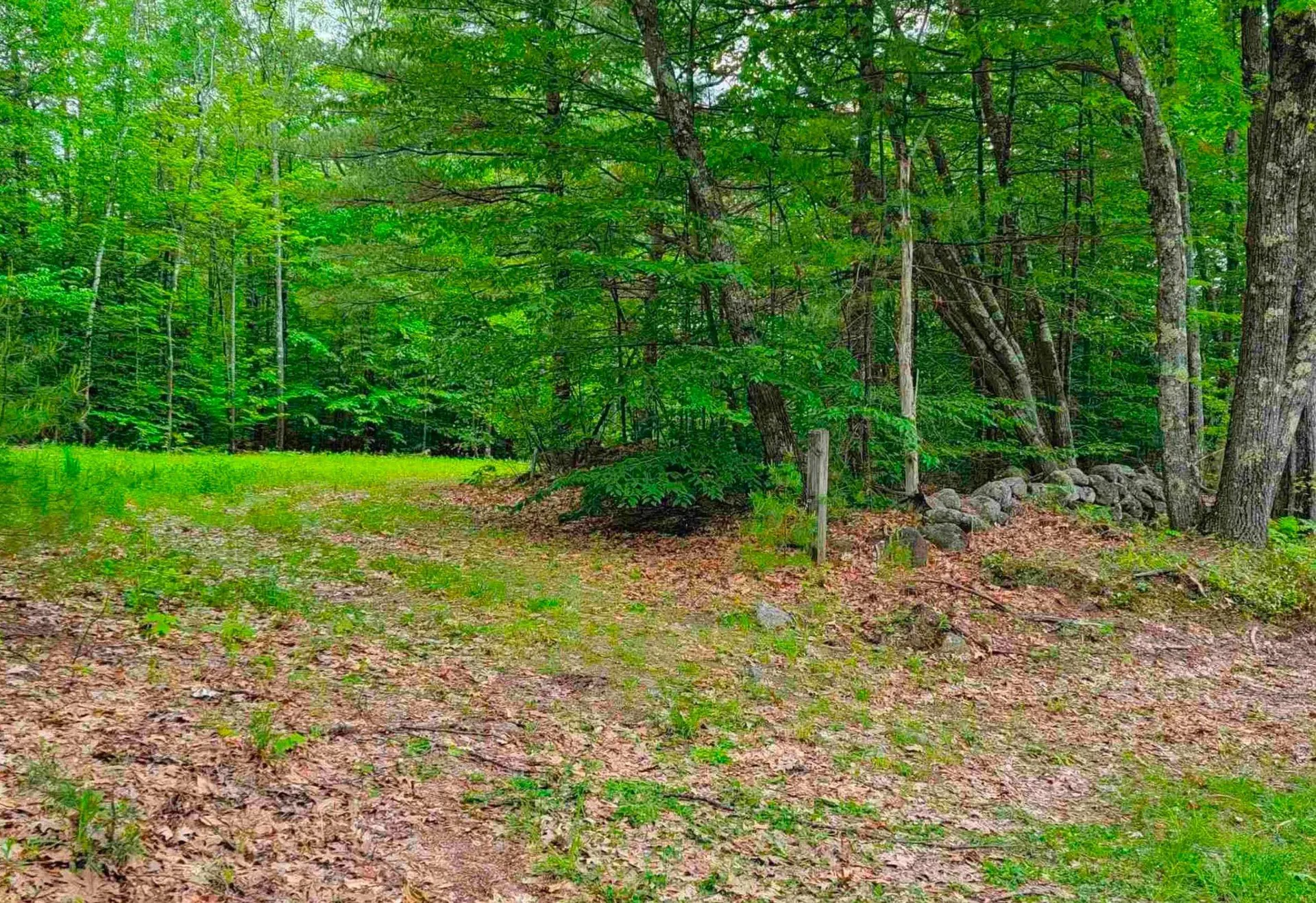 1195 Bennington Road Francestown NH 03043