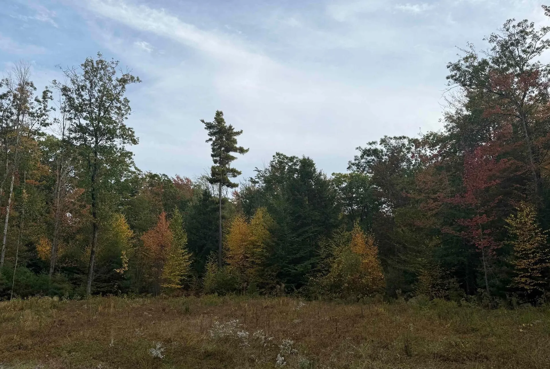 1195 Bennington Road Francestown NH 03043