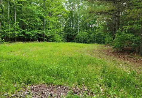 1195 Bennington Road Francestown NH 03043