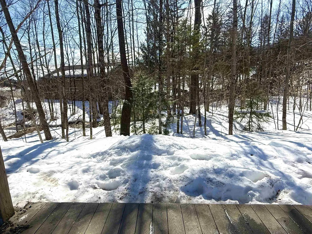 11C Snow Tree Lane Dover VT 05356