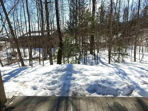 11C Snow Tree Lane Dover VT 05356