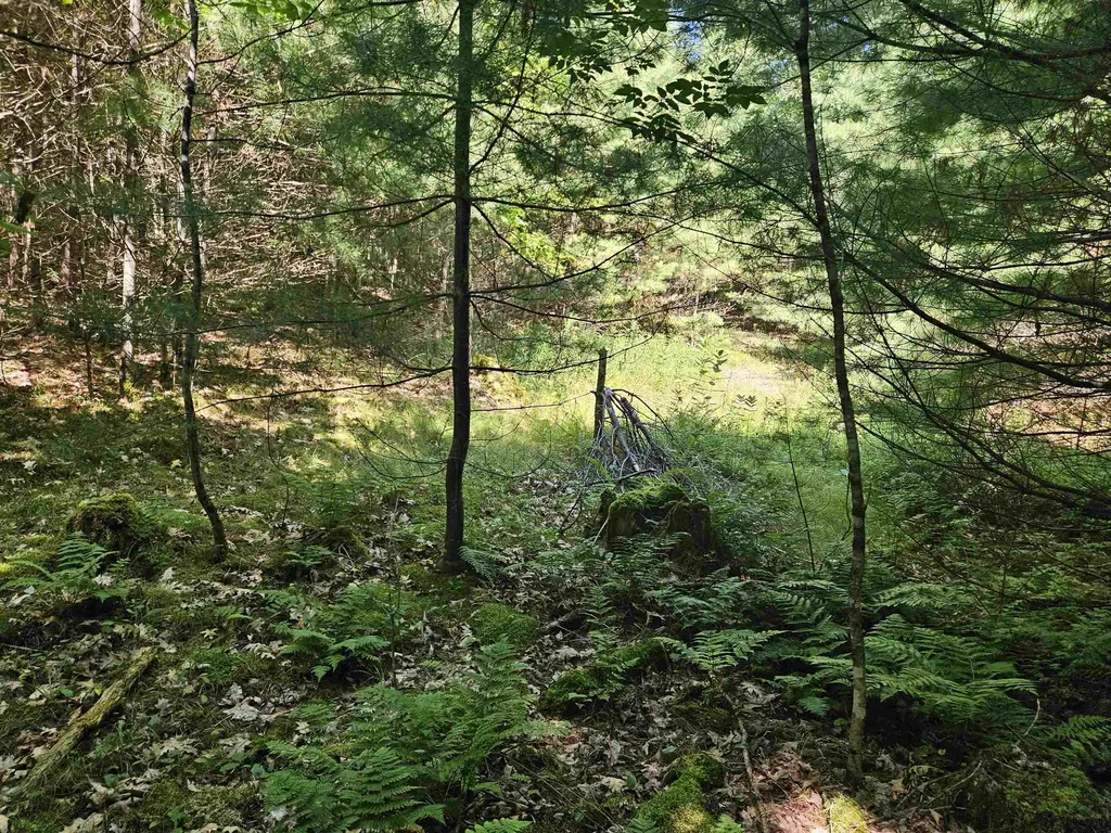 Lot 3.2 Off Parker Road Lisbon NH 03585