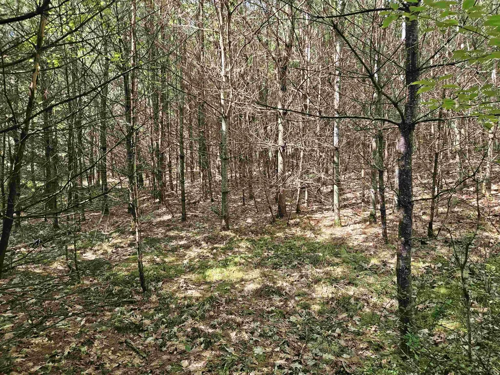 Lot 3.2 Off Parker Road Lisbon NH 03585