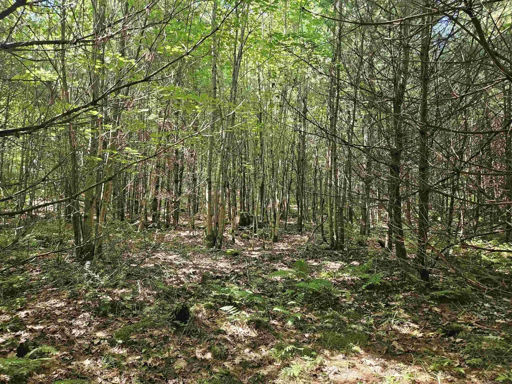 Lot 3.2 Off Parker Road Lisbon NH 03585