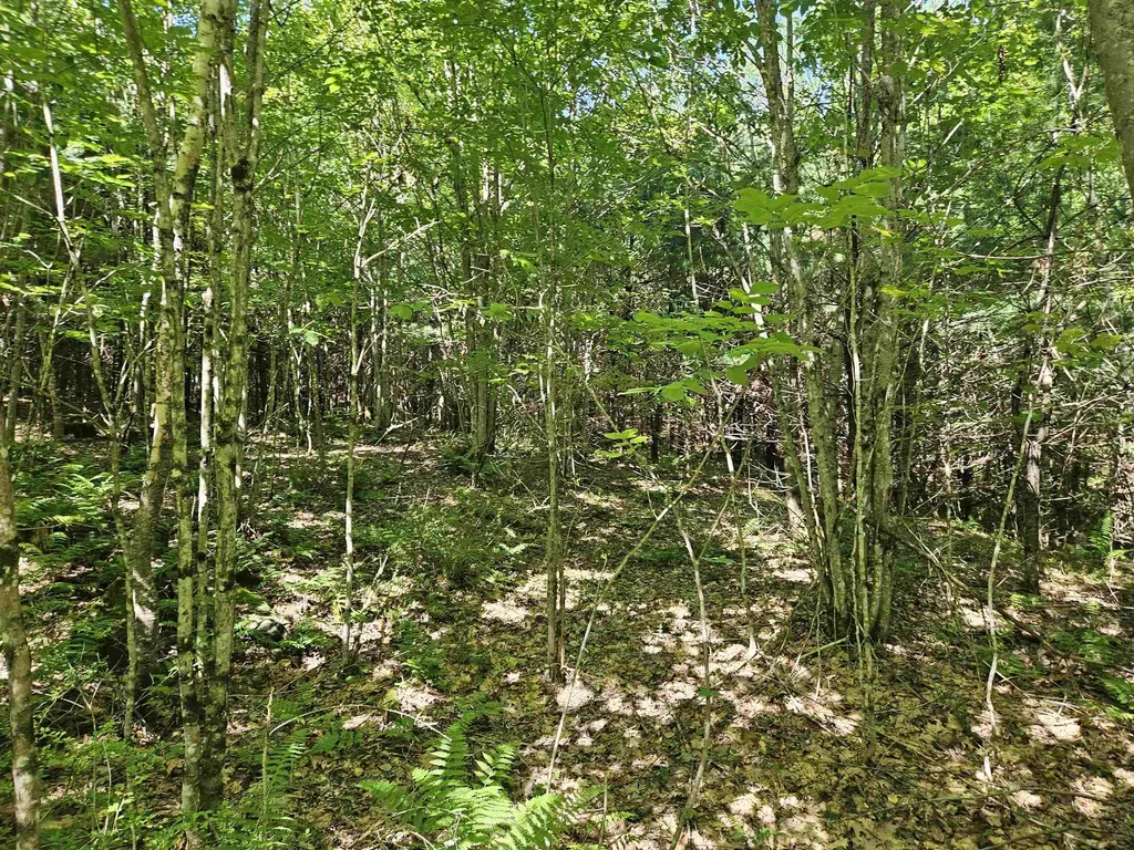 Lot 3.2 Off Parker Road Lisbon NH 03585