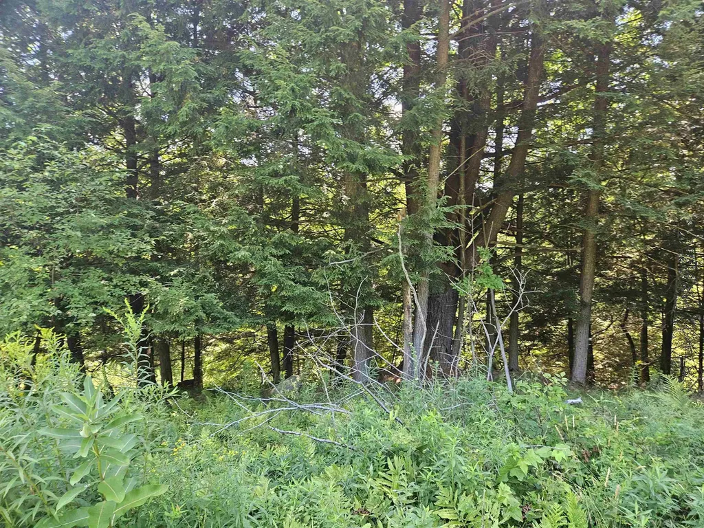 Lot 3.2 Off Parker Road Lisbon NH 03585