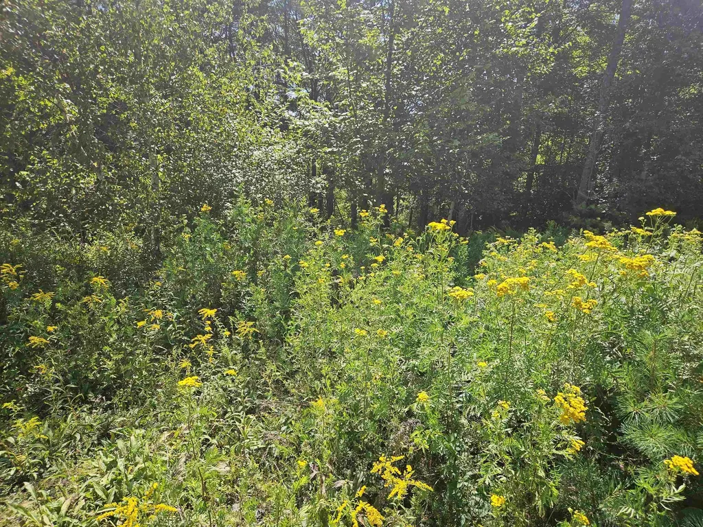 Lot 3.2 Off Parker Road Lisbon NH 03585