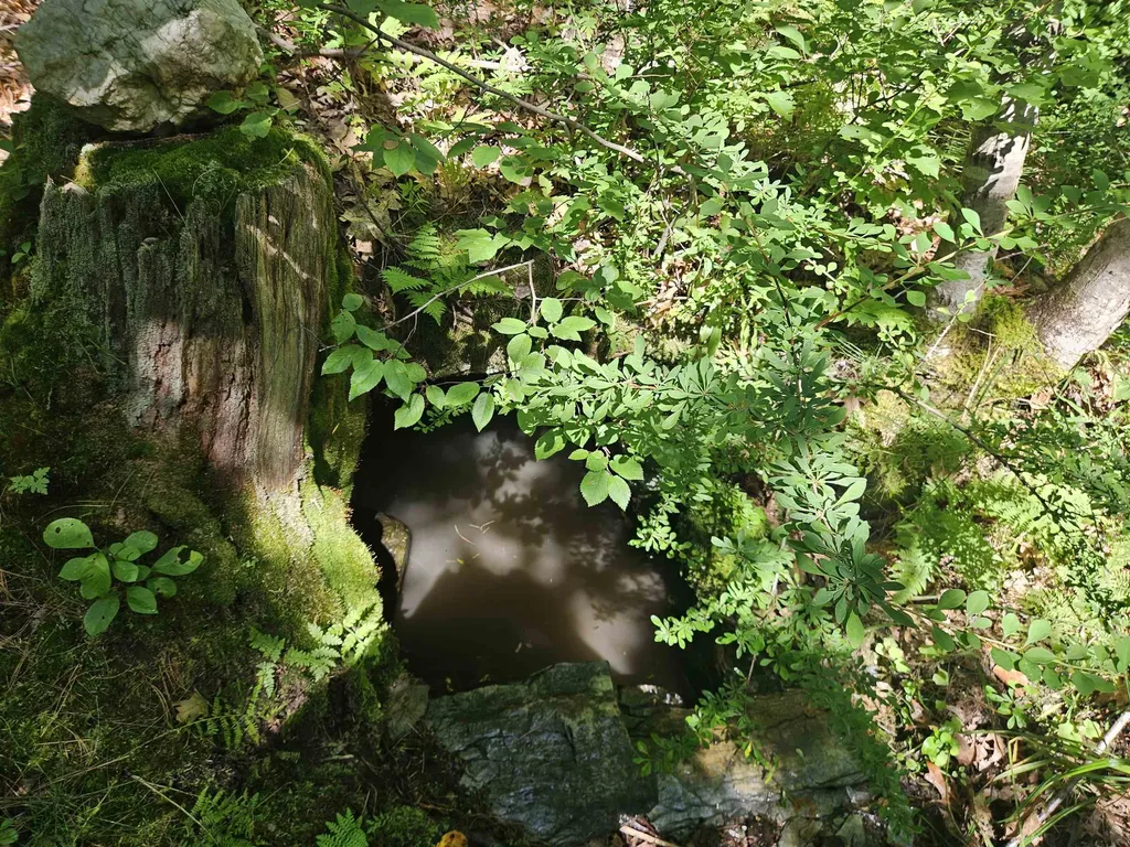 Lot 3.2 Off Parker Road Lisbon NH 03585