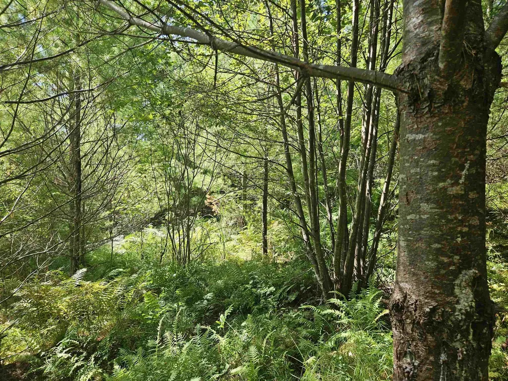 Lot 3.2 Off Parker Road Lisbon NH 03585