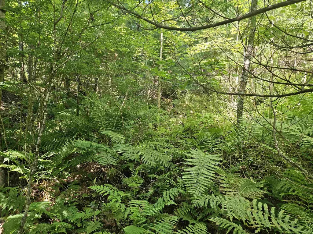 Lot 3.2 Off Parker Road Lisbon NH 03585