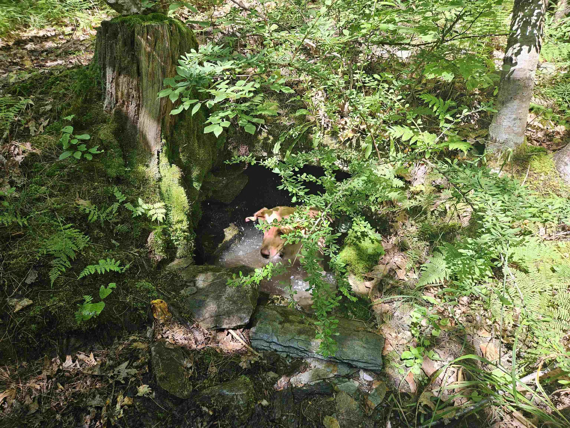 Lot 3.2 Off Parker Road Lisbon NH 03585