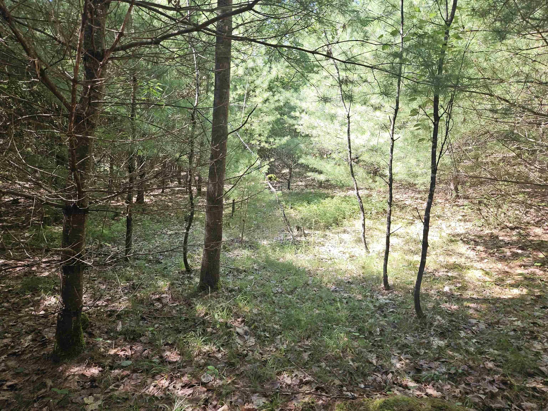 Lot 3.2 Off Parker Road Lisbon NH 03585
