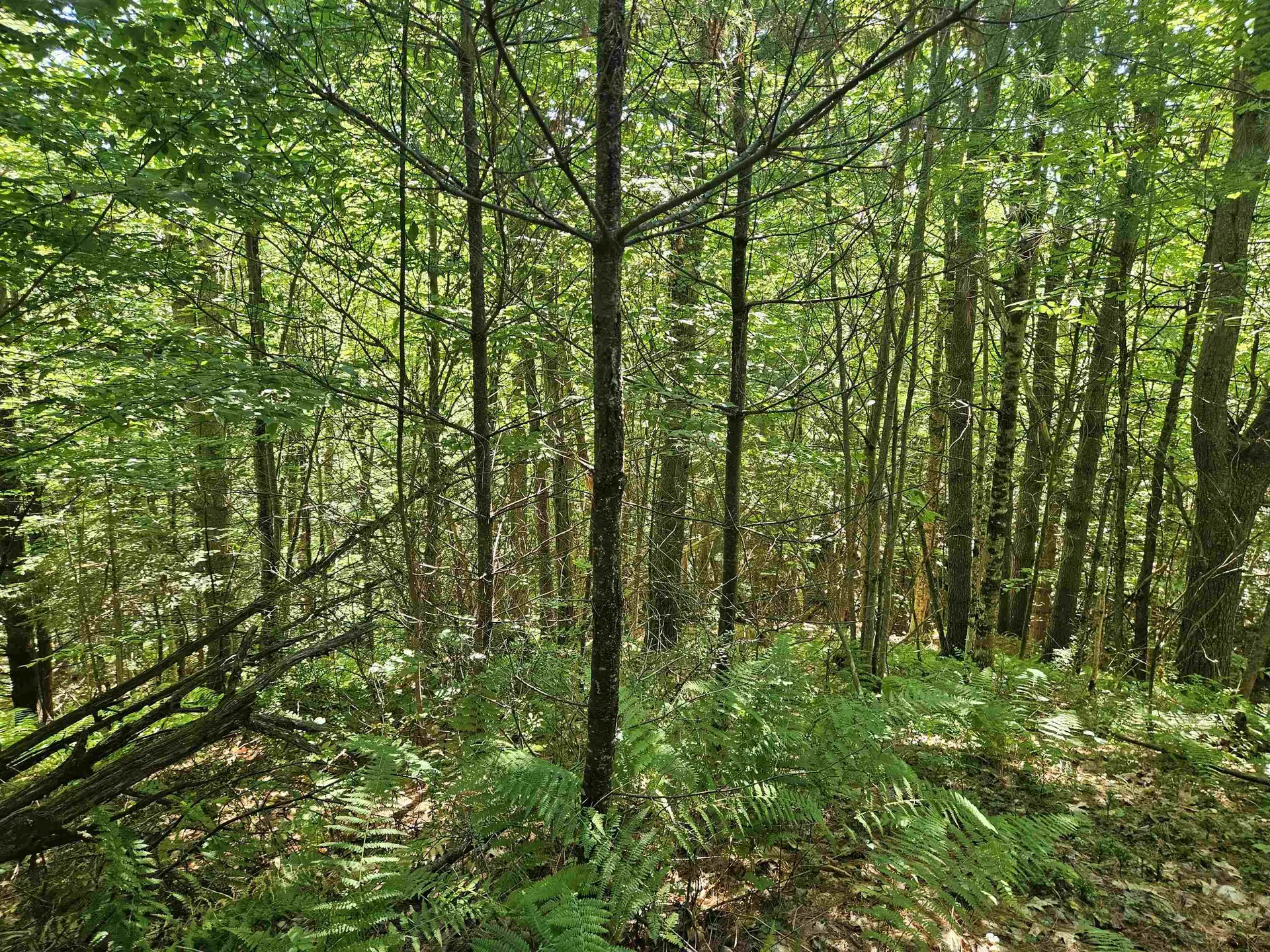 Lot 3.2 Off Parker Road Lisbon NH 03585