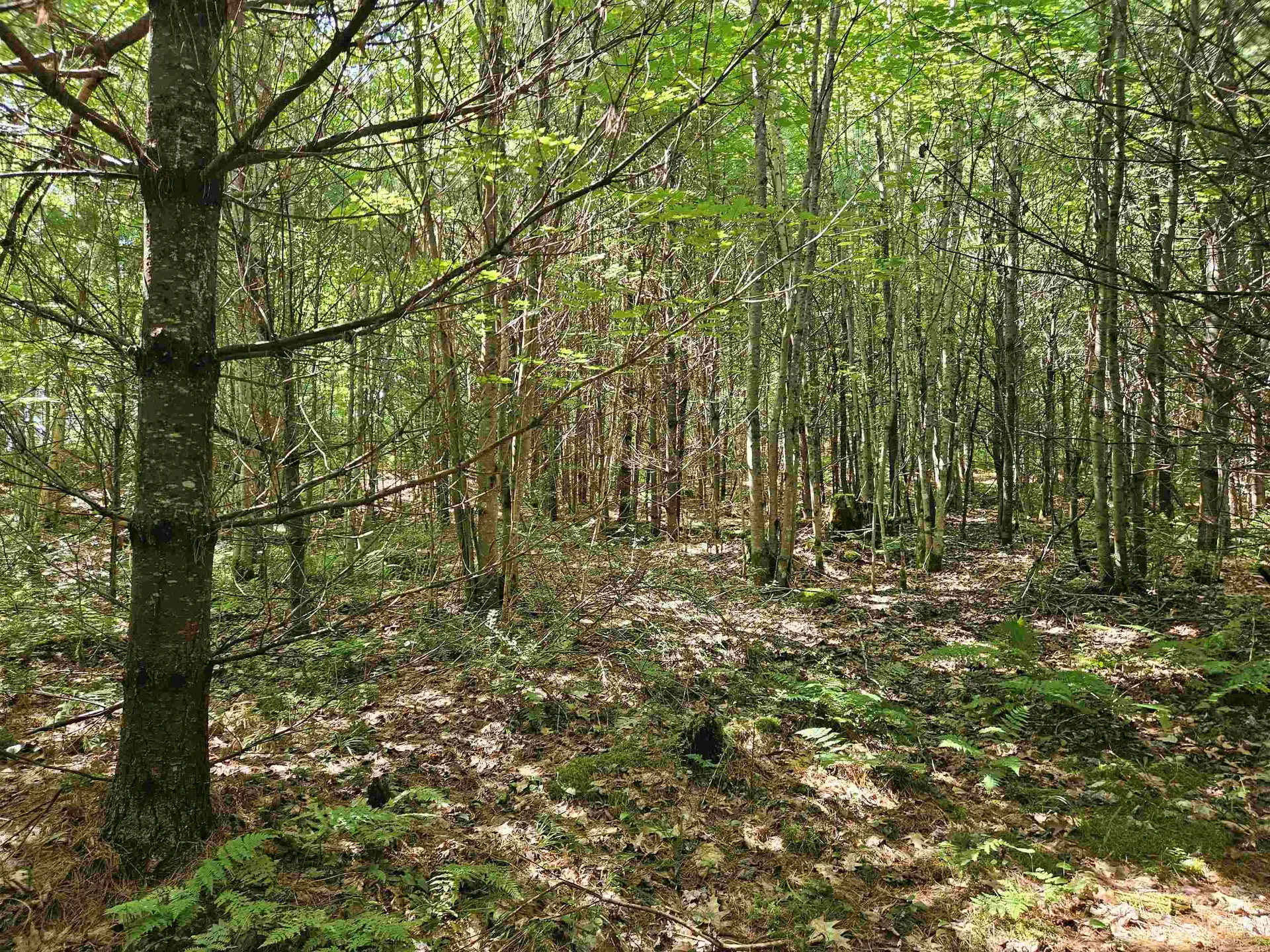 Lot 3.2 Off Parker Road Lisbon NH 03585