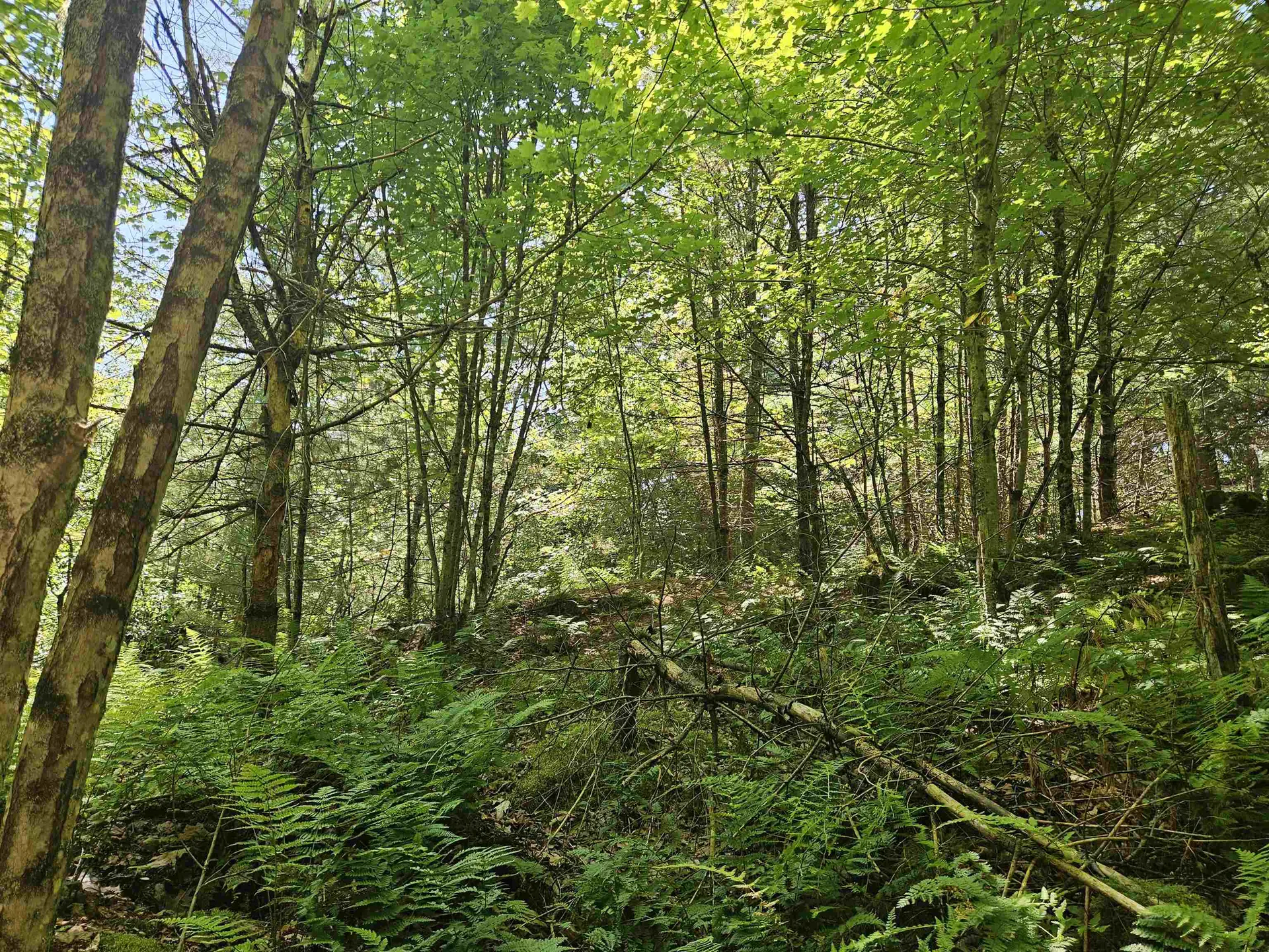 Lot 3.2 Off Parker Road Lisbon NH 03585