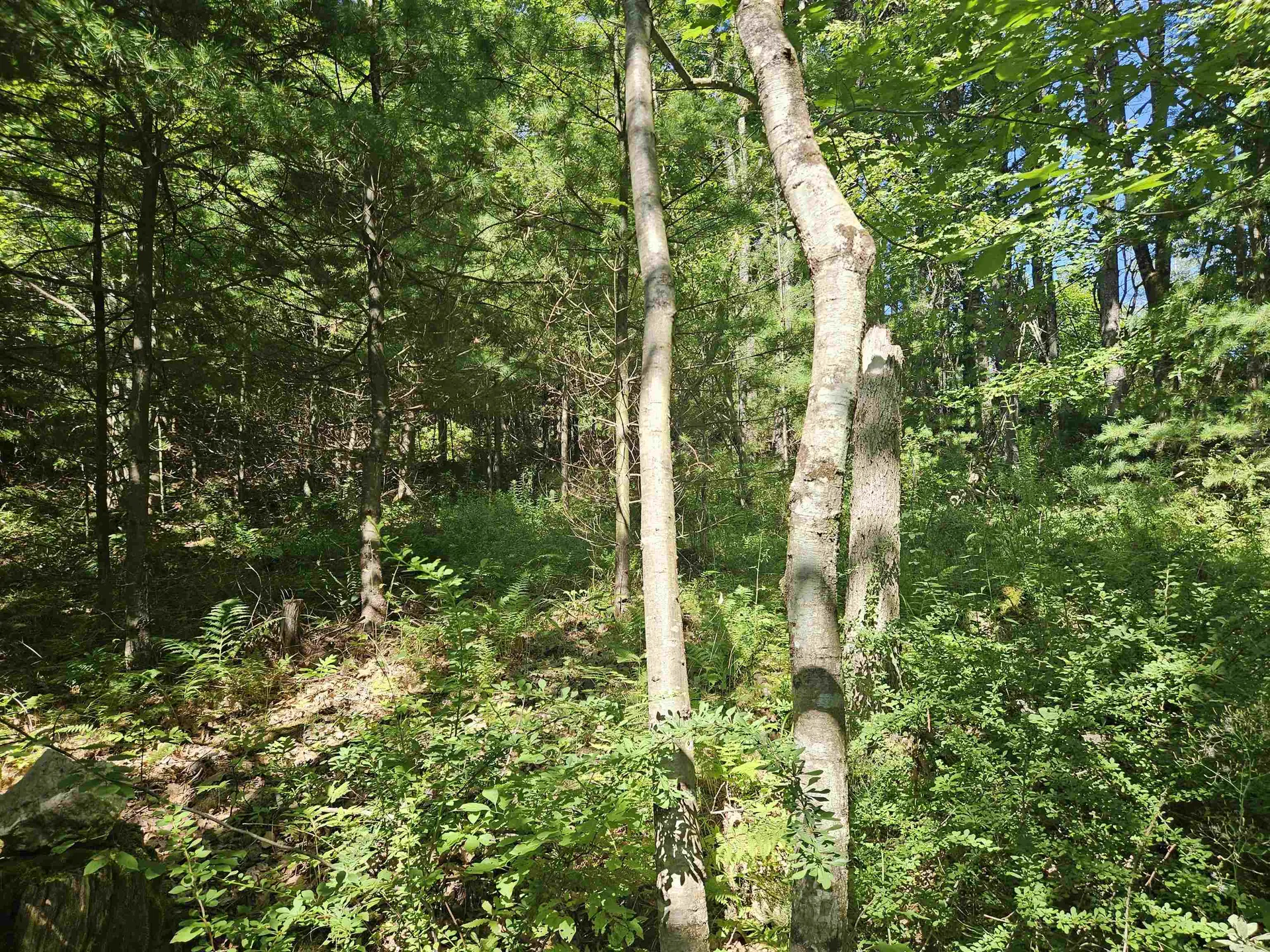 Lot 3.2 Off Parker Road Lisbon NH 03585
