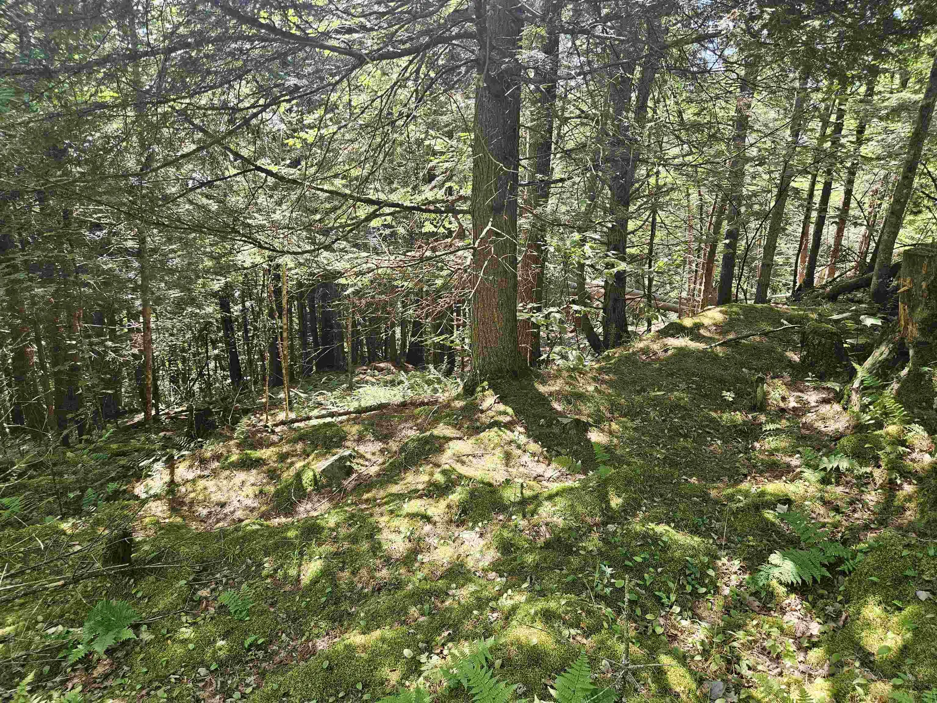 Lot 3.2 Off Parker Road Lisbon NH 03585