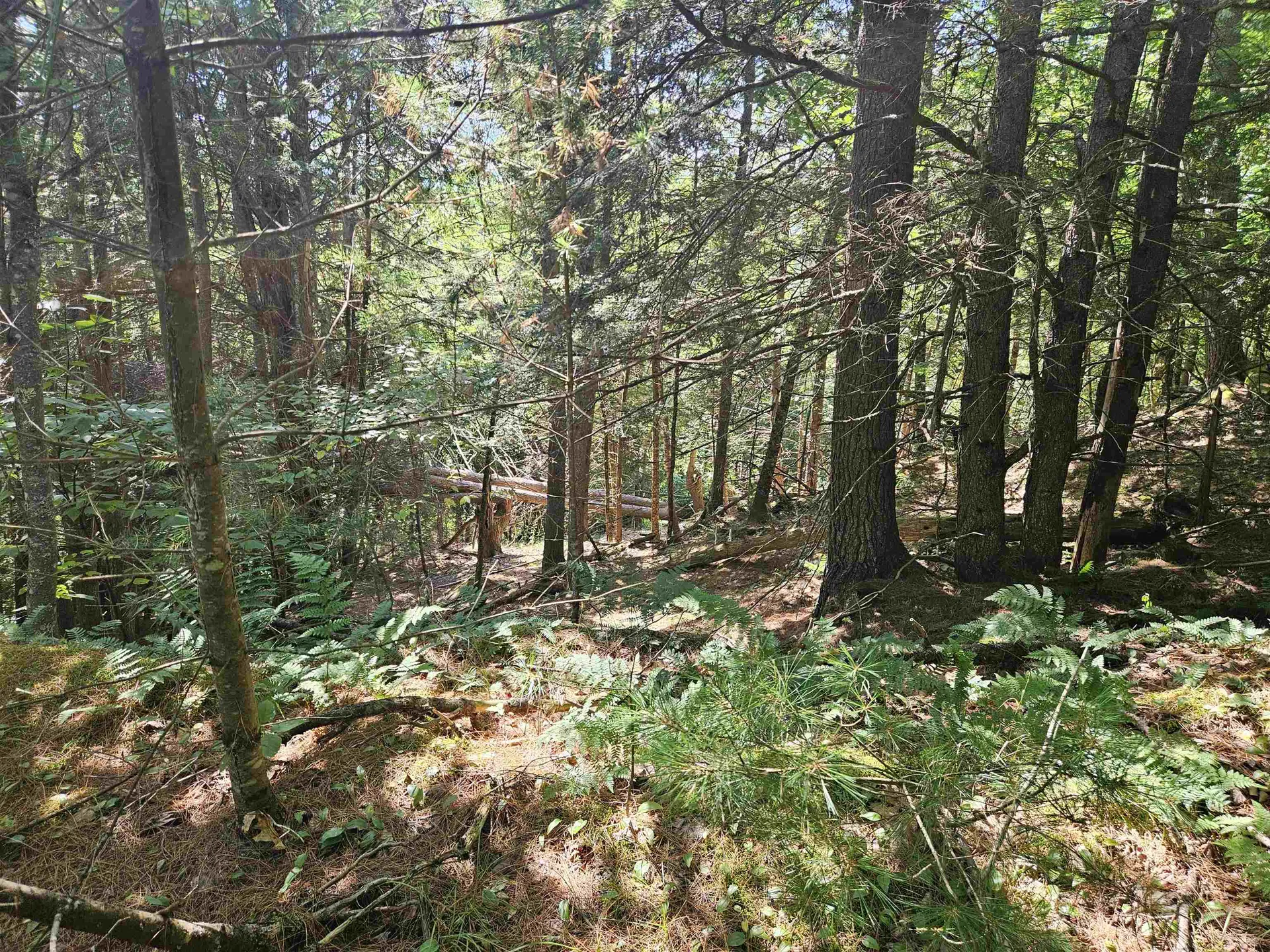 Lot 3.2 Off Parker Road Lisbon NH 03585