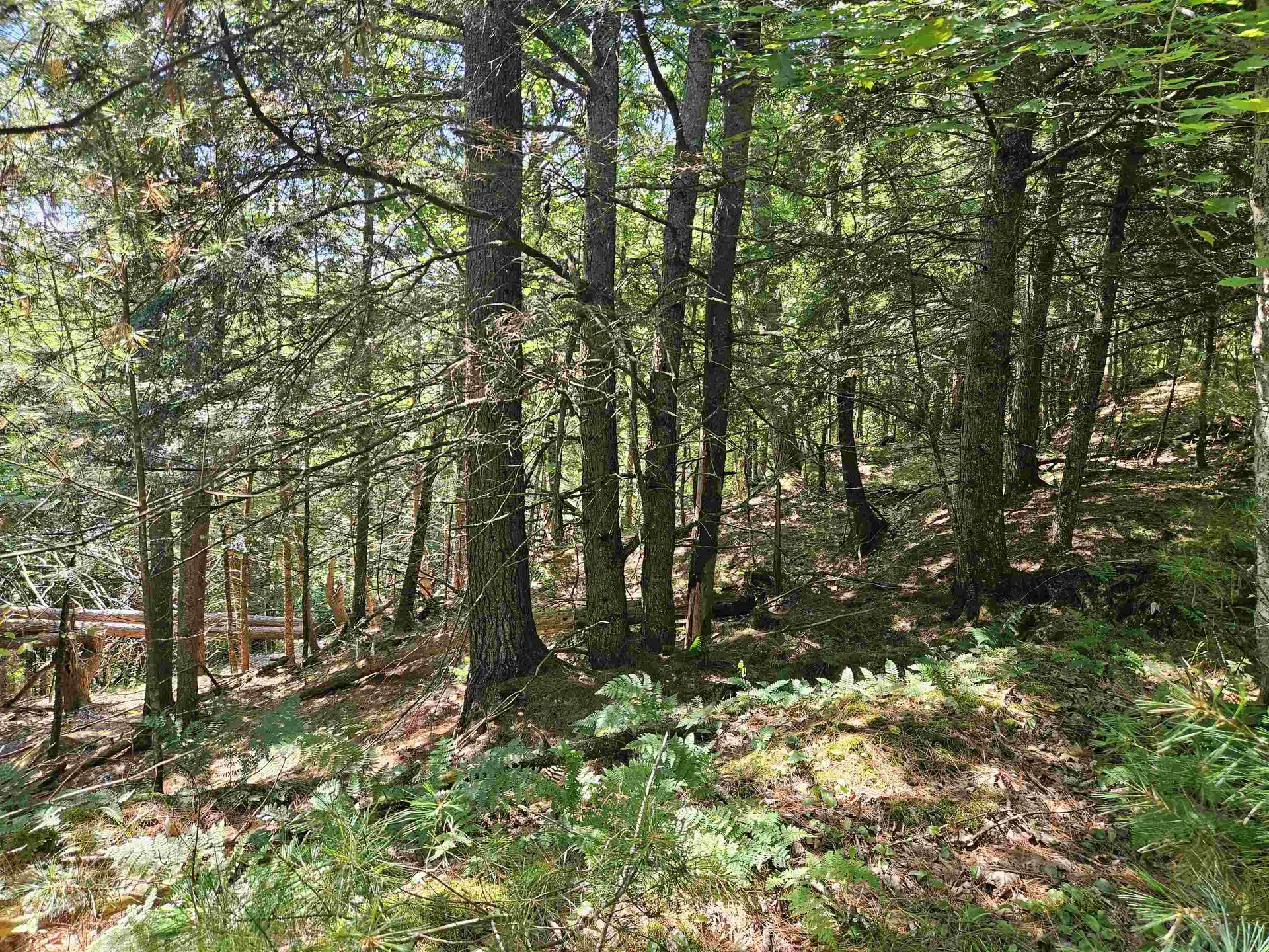 Lot 3.2 Off Parker Road Lisbon NH 03585