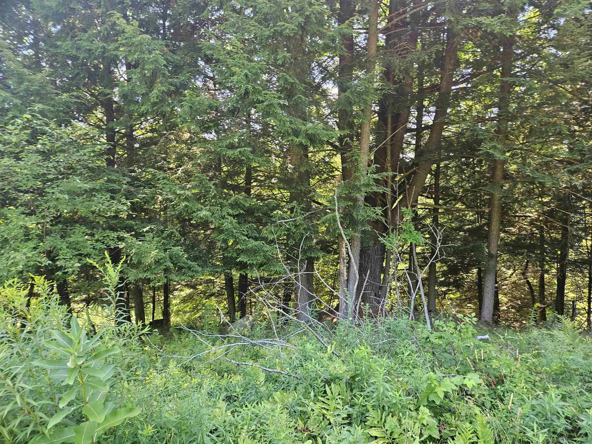 Lot 3.2 Off Parker Road Lisbon NH 03585