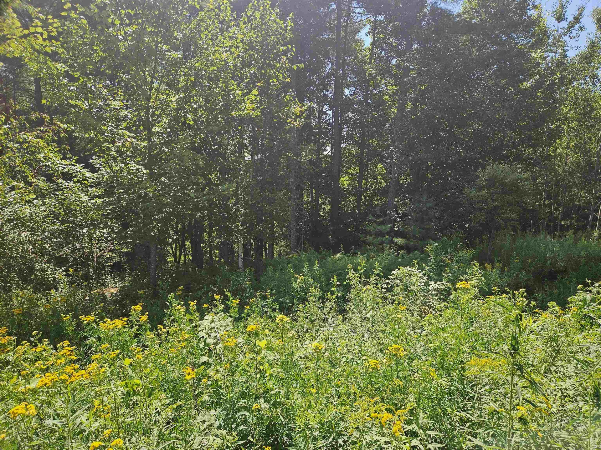 Lot 3.2 Off Parker Road Lisbon NH 03585