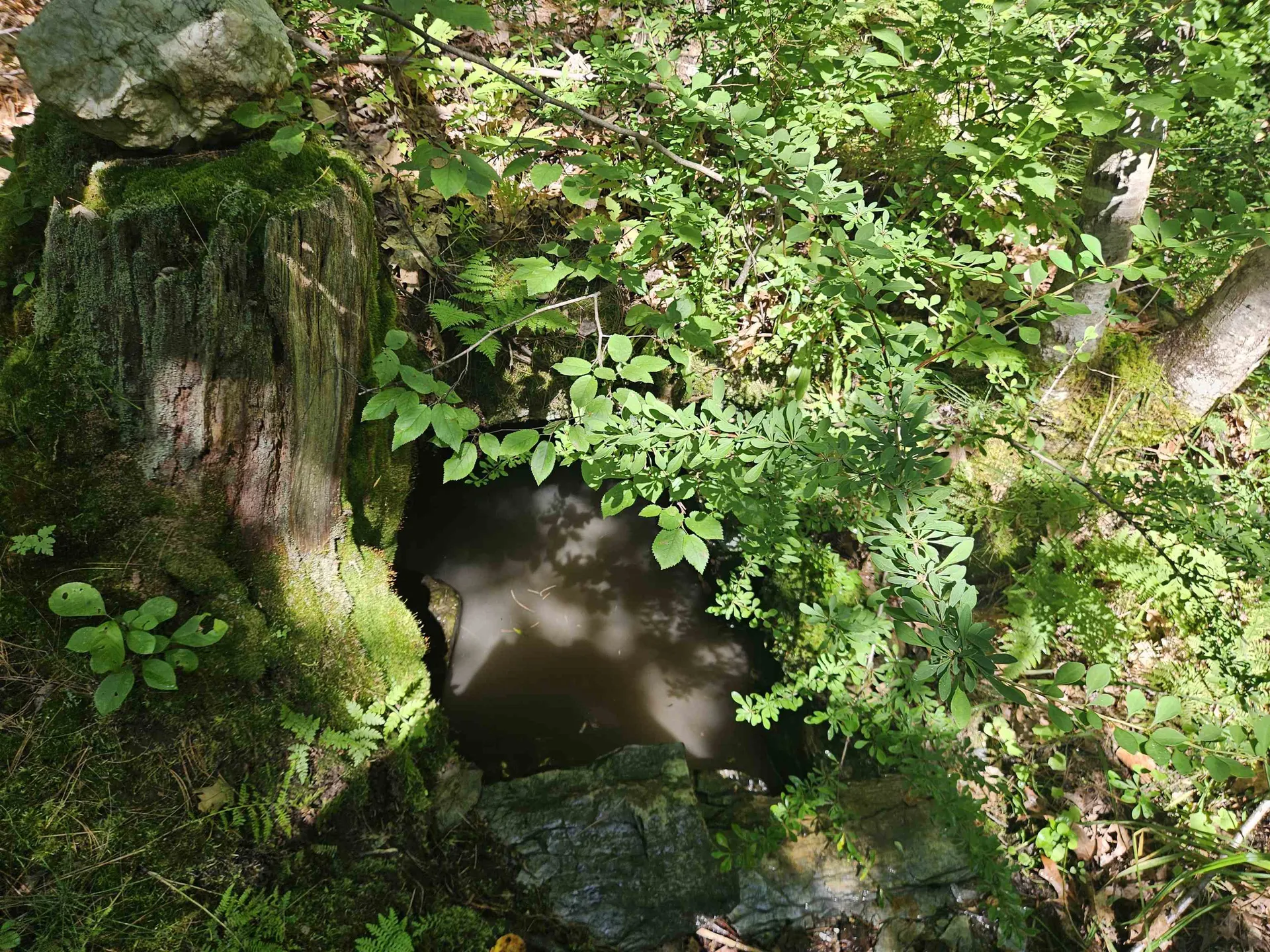 Lot 3.2 Off Parker Road Lisbon NH 03585