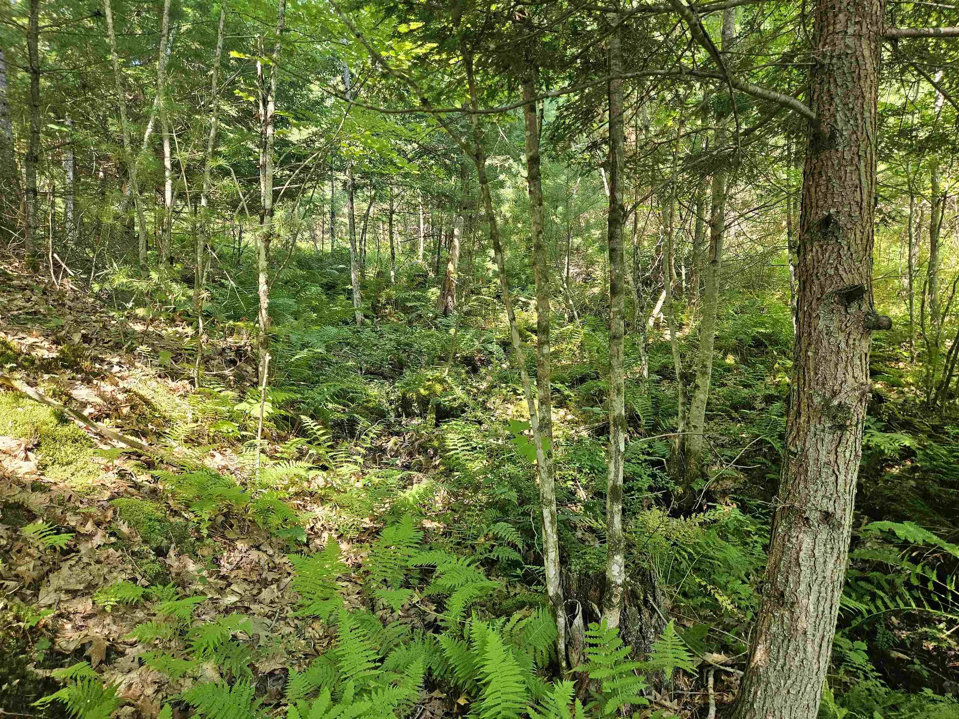 Lot 3.2 Off Parker Road Lisbon NH 03585