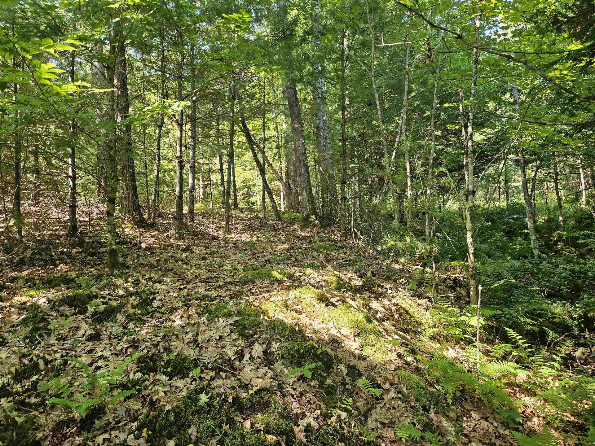 Lot 3.2 Off Parker Road Lisbon NH 03585