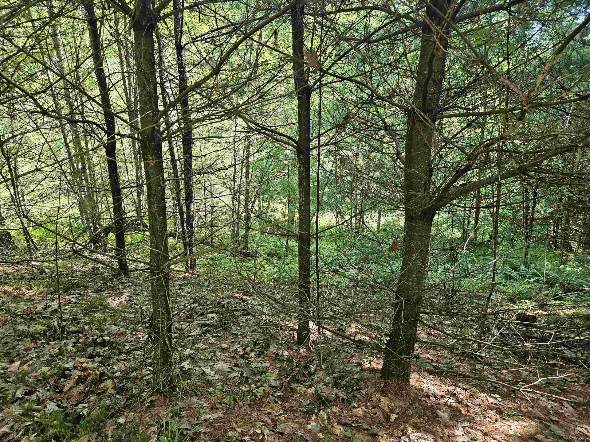 Lot 3.2 Off Parker Road Lisbon NH 03585